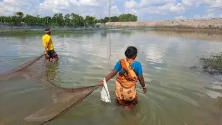 Village Woman & Smart Boy Fishing Trap With A Cast Net||@arohifishingas894(part-412)