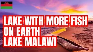Lake Malawi: Africa&rsquo;s Hidden Gem and Natural Wonder You Didn&rsquo;t Know About