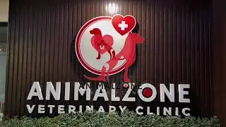 A tour of our Veterinary Clinic here in bohol