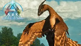 Могут ли микрорапторы защитить вас? - (PVE) Ark Survival Ascended