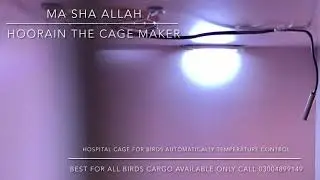Hospital cage for birds