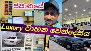 Takasaki Used Vehicles Auction 🚗🚕🚚 || තකසාකි පාවිච්චි කල වාහන වෙන්දේසි || Life in Japan 🇯🇵🇱🇰