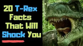 T Rex Facts for Kids | Real Facts About Dinosaurs