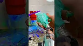 Colgate + Bulb = Soft Bulb Hack ✅ | science project class 7th#gems_​​​​​​​​​#shorts​​​​​​​​​ #youtub