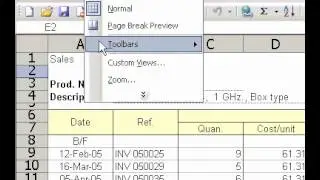 Microsoft Office Excel 2003 Display a custom view