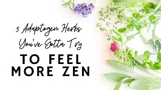 5 Adaptogen Herbs You've Gotta Try | Feel Zen | Lower Cortisol