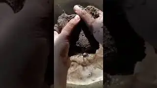 #foryou #satisfying #crunchycrumbles #blacksand