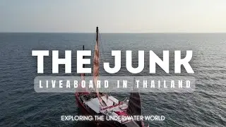 Thailand Liveaboard - The Junk 2024 Diving in Similan and Surin Whale Sharks, Sharks, Amazing Foods