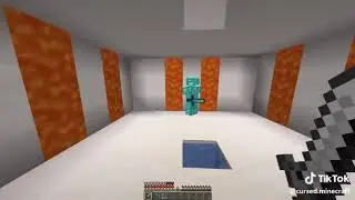 Cursed Minecraft TikTok compilation