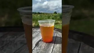 Lickinghole Creek Craft Brewery📍Goochland, Virginia 💛 Details in description #craftbeer #brewery