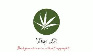 #002 Free  background music without copyright Thug life  by rec 30