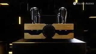 Feliks Audio ENVY - A NEW BENCHMARK IN THE PREMIUM CLASS