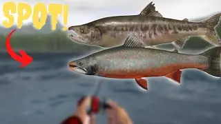ACTIVE ULTRALIGHT SPOT IN YAMA RIVER! #595 Russian fishing 4