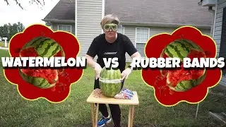 EXPLODING A WATERMELON with Rubber bands! | MightyMom