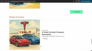 Visual Book -  Tesla Earnings