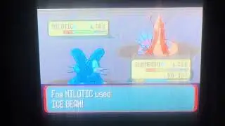 Pokémon Ruby vs Leader Wallace