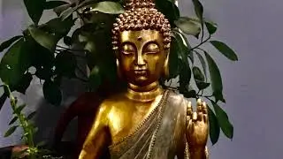 Buddha on forgiveness - Tamil Story