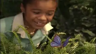 46 Minutes Of The Greatest Barney Songs In History (My Version)