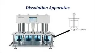 In Vitro: Dissolution and Drug Release Testing