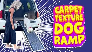 🐾 HerCcreta  Dog Ramp for Car Review | 63