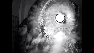Hans Nature Channel Tawny Owls,  Prey Transfer Outside, Female Brings In Big Prey,  06 04 2025
