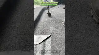 Sealing a Flat Roof Using a Blowtorch