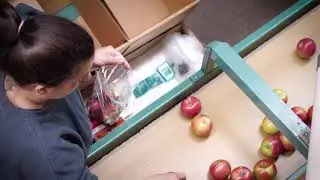 NY Grows The Best Apples