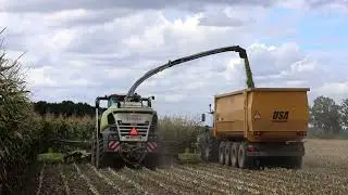 Claas Jaguar 990 mit MF 8S.265 - USA 2000CF Abschiebewagen!