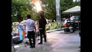 world music festival Hamilton 2014