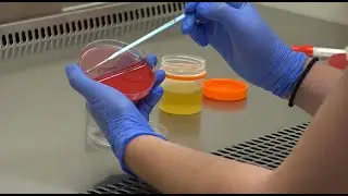Estes Park Health Laboratory: The Heartbeat of the Hospital