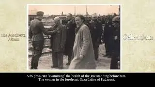 What Lies Beneath the Auschwitz Album's Unique Collection?