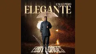 Calle Pero Elegante