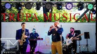 Trupa Musical - Energy Show