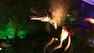 Sea World Dinosaur Discovery Centre 2014  - Gold Coast