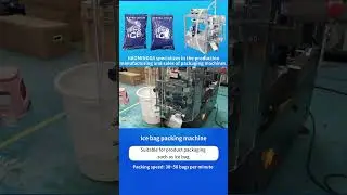 Flow Wrap Food Bag Packaging Machine (Biscuits, Bread, Bars)