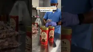 HEALTHIEST DOG TREATS of all times!