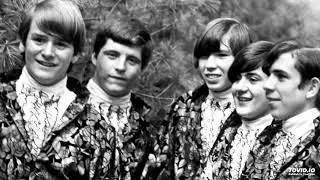Terry & The Telstars - Stop & Think