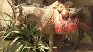 PA DARLE CALOR AL NIÑO -   Cristóbal Diosdado González de la Peña