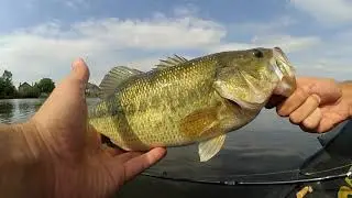 #aliexpress#esfishing test leurre shad wobbers