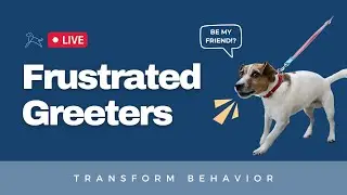 Frustrated Greeters