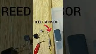 Magnetic Reed Switch #circuit #scienceexperiment #diyelectronics