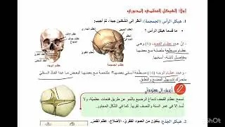 الدرس الأول الهيكل العظمي الوحدة الأولى علوم الصف التاسع