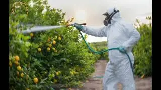 Pesticide Spray, Rules & Regulations