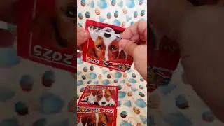 PIZZARDI AMICI CUCCIOLOTTI FIGURINE 2025 😍🥰 👍 🐾 🐌 🐌 🐌 🐌 🐌 🐌 🐌 🐌 🐌 🐌 🐌 🐌 💙