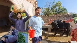 आज हमने अपनी सारी भैंस नहलाई धूप अच्छी थी || खेत से मूली लेके आए || जयपुर से एक भाई मिलने आया #vlog