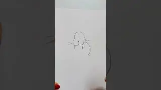 Easy Walrus drawing | How to draw a walrus #shorts #drawing #ytshorts