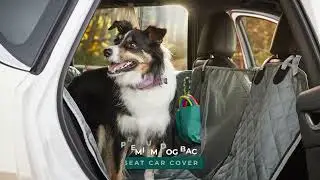 The Furry Nomad I Premium Dog Back Seat Car Cover