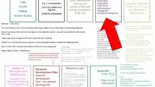 Personal Development Plan Guidance Slides