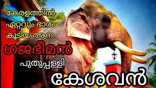 ഗജഭീമൻ വരാംഗ വിശ്വ പ്രജാപതി പുതുപ്പള്ളി കേശവൻ | Puthupally kesavan malayalam