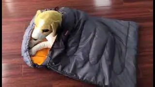 Portable Waterproof Warm Outdoor Pet Dog Sleeping Bag with Compression Sack